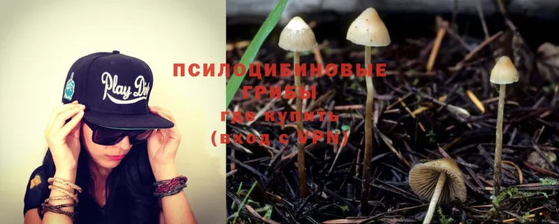 Галлюциногенные грибы Cubensis  Фокино 